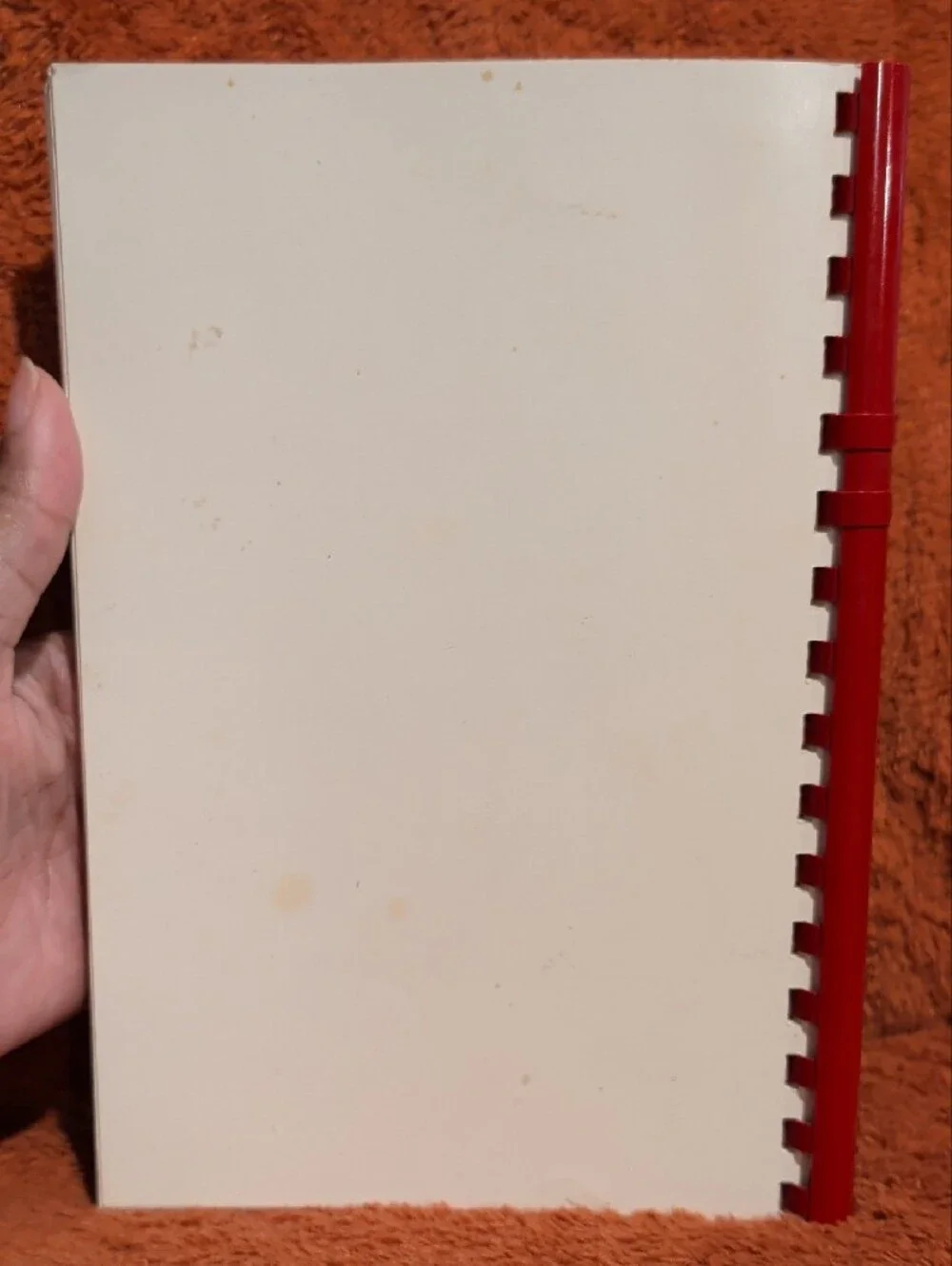 Flanders Family Favorites Recipe/Notebook - Cream Cover with Red Spiral